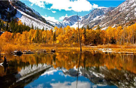 easter sierra fall colors photography workshop 2018 lundy canyon