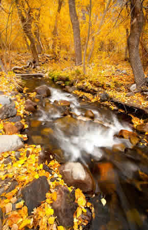 easter sierra fall colors photography workshops 2018 mcgee creek canyon