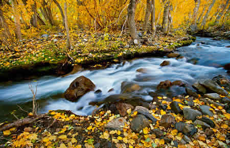 Easter sierra fall colors photography workshop 2018 mcgee creek canyon