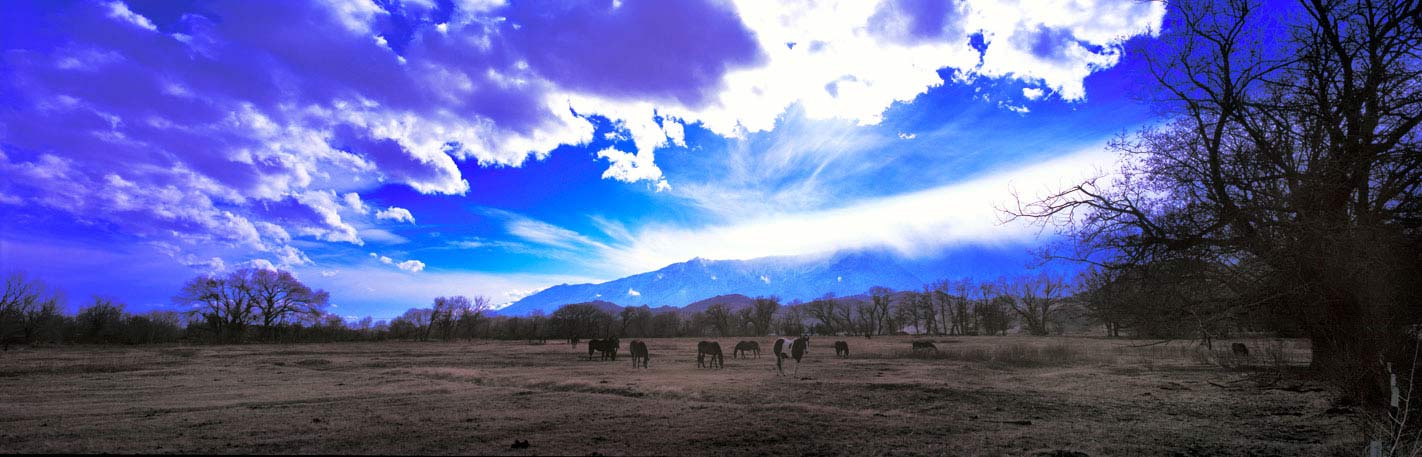 Panoramic Fine Art Photography ~ Panorama Landscape Photo Gallery ~ Horses Under Magical Sky, Lone Pine, Calif.