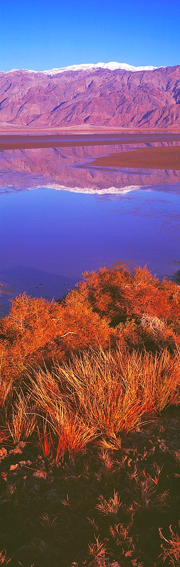 Brilliant Colors  in Front of Tucki Mountains, Death Valley