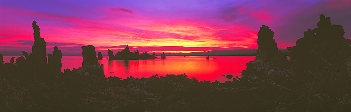 Brilliant Red  Mono Lake At Sunrise, Eastern Sierra