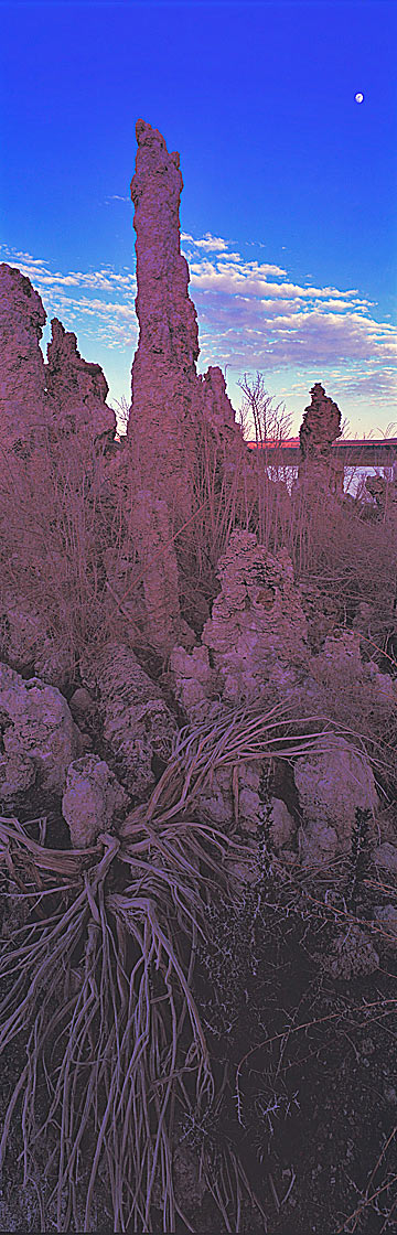 Tufas reaching for the Moon, Mono Lake Eastern Sierra